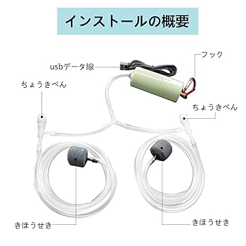 水中葉★ブセファランドラ★ Blue Oval、Mini Jade★2株セット★ 水中葉☆ブセファランドラ☆ Blue Oval、Mini Jade☆2株セット☆